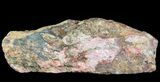 Polished Brecciated Pink Opal - Western Australia #64785-3